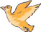 img43.gif
